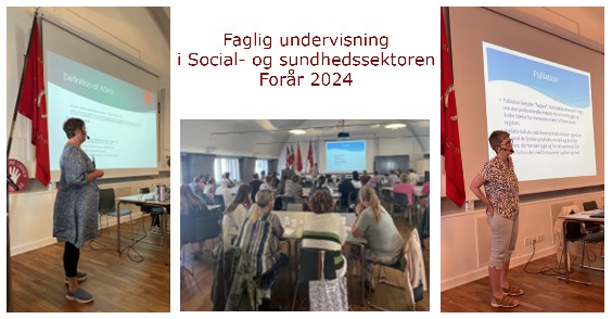 faglig undervisning Social- og sundhedssektoren